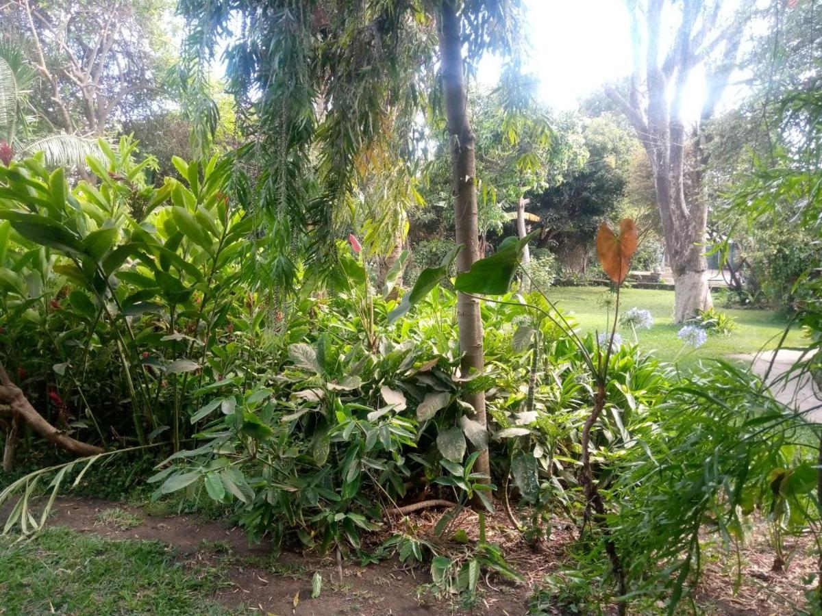 Karibu Heritage House أروشا المظهر الخارجي الصورة