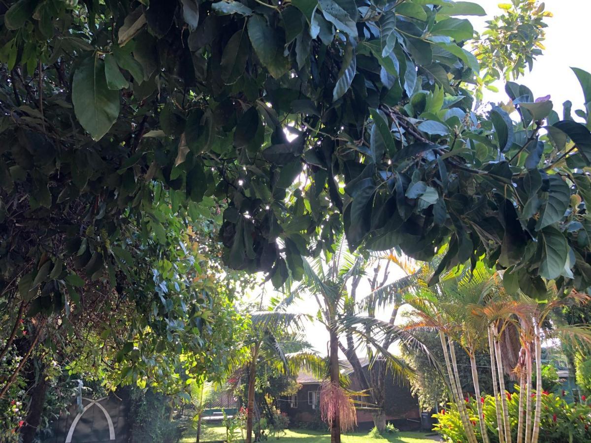 Karibu Heritage House أروشا المظهر الخارجي الصورة